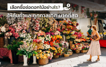 เลือกซื้อดอกไม้ให้คุ้มค่า